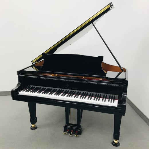 Steinway M EBP 244503 1